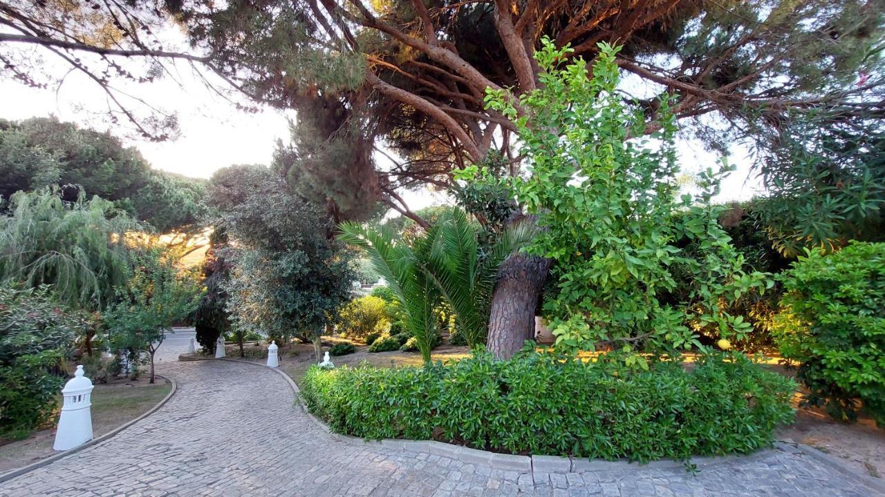 فيلا فالي دو لوبوفي Casa Jolie المظهر الخارجي الصورة