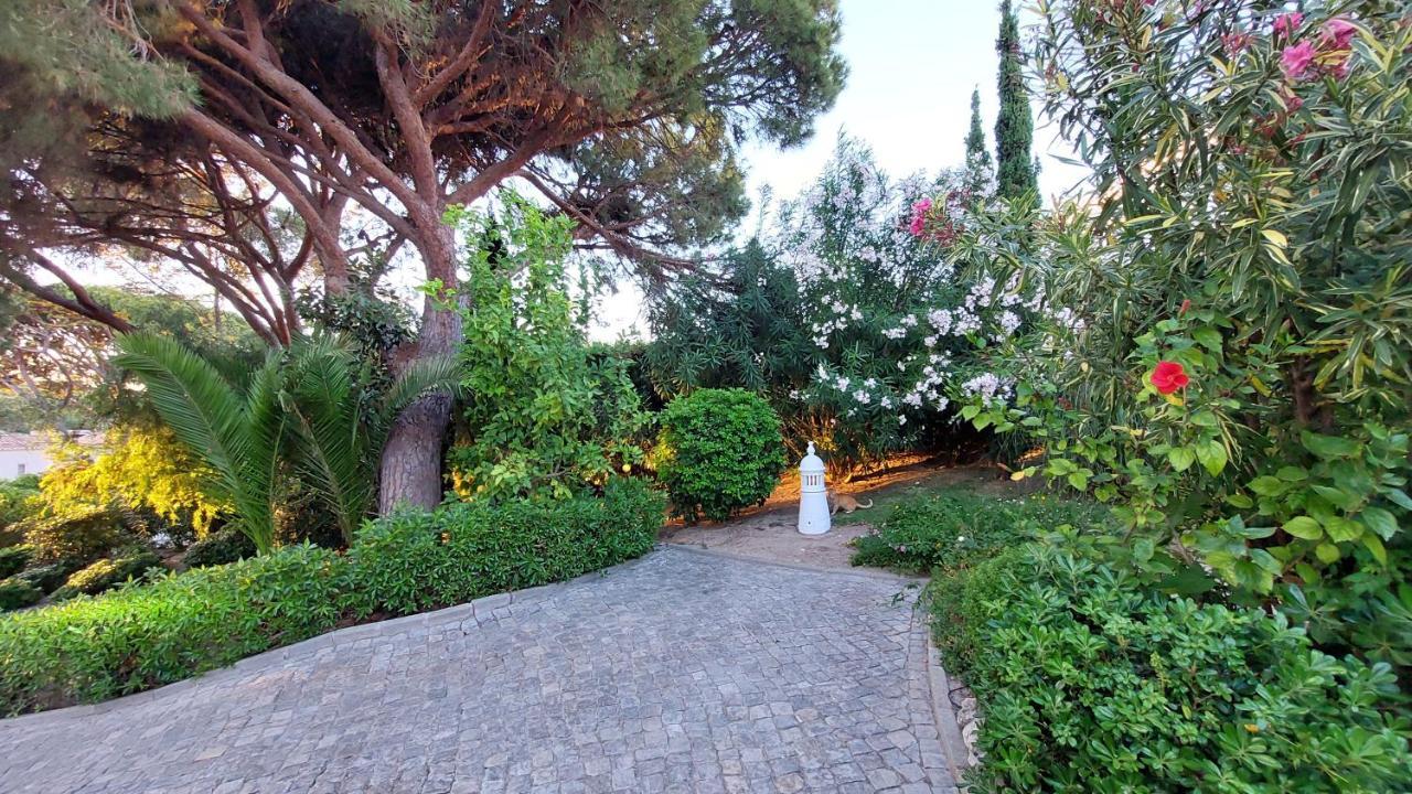 فيلا فالي دو لوبوفي Casa Jolie المظهر الخارجي الصورة